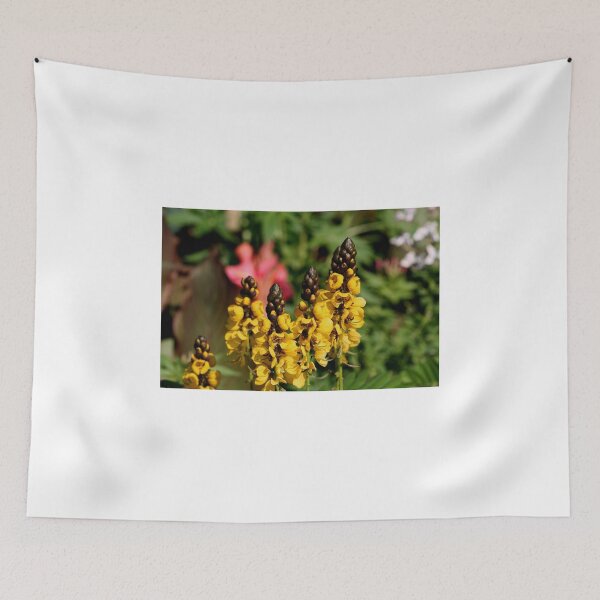 Item preview, Cassia Didymobotrya (Popcorn Cassia) designed and sold by Larry Trupp.