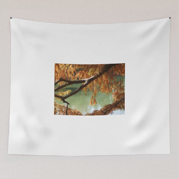 Item preview, Colorful Fall Bald Cypress designed and sold by ROBERTDBROZEK.