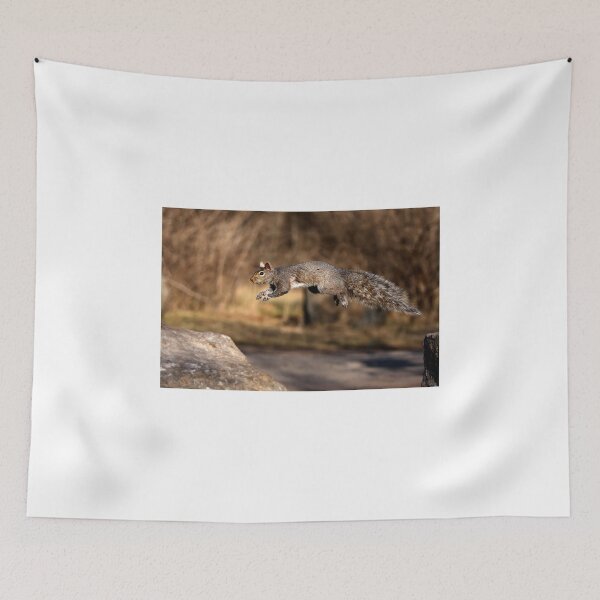 Item preview, Flying Grey Squirrel designed and sold by James Cumming.