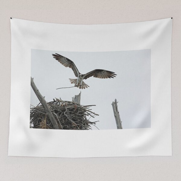 Item preview, home improvements designed and sold by kathy s gillentine.