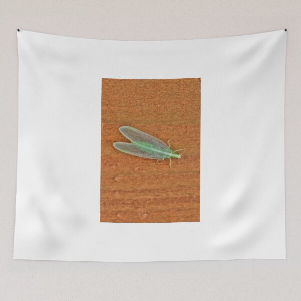 Item preview, Long Green Bug designed and sold by Larry Trupp.