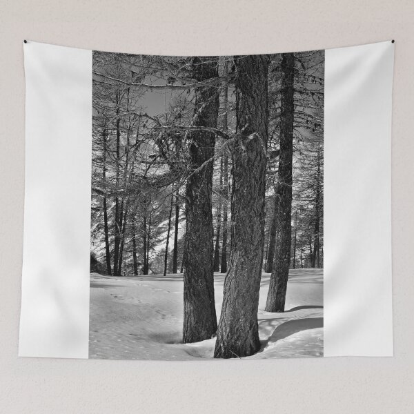 Item preview, Larch, Val d'Hérens designed and sold by itchingink.