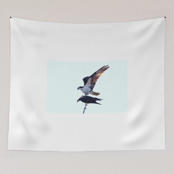 Item preview, Osprey designed and sold by James Cumming.