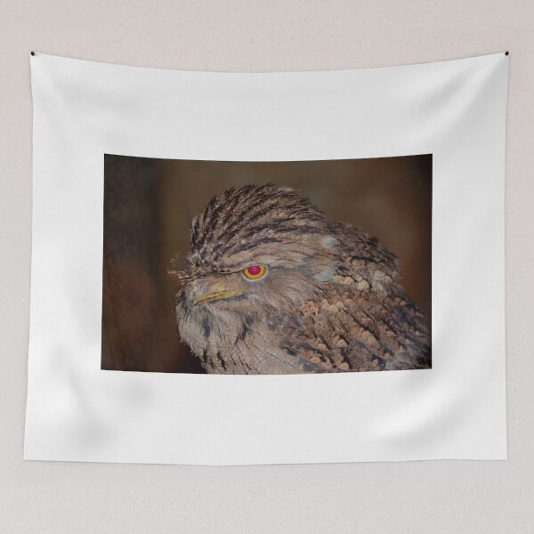 Item preview, Tawny Frogmouth designed and sold by Larry Trupp.