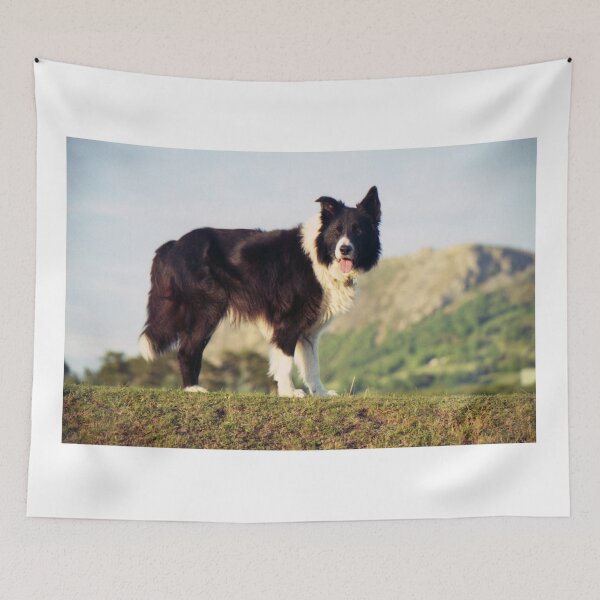 Item preview, Incredible Indy designed and sold by Michael Haslam.