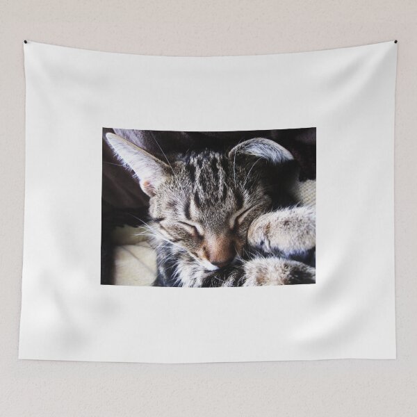 Item preview, The Sleepiest Sleeps designed and sold by Ladymoose.
