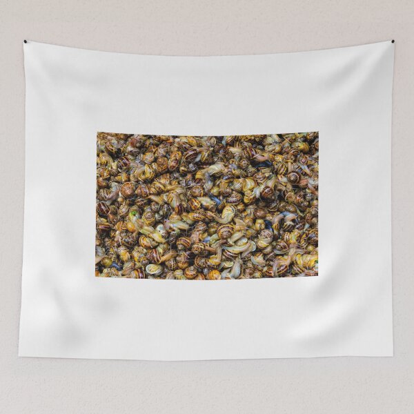 Item preview, snails and more snails, market, Siracusa, Sicily designed and sold by AndrewJonesFoto.