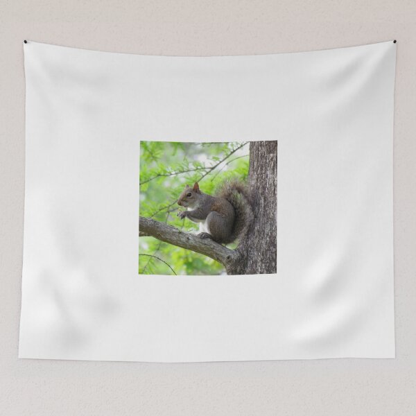 Item preview, Squirrel Sitting Very Still designed and sold by Cynthia48.