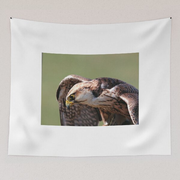 Item preview, Juvenile Peregrine Falcon designed and sold by Larry Trupp.