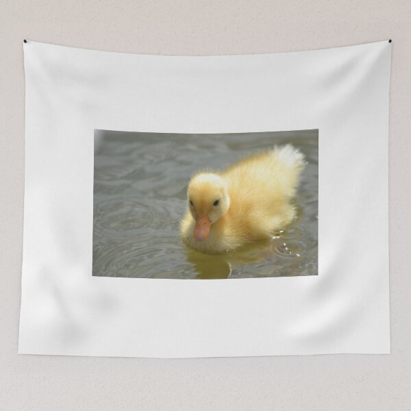 Artikelvorschau, Australien
Abgebildet sein in; charakterisiert in -
"The Birds": http: //www.redbubble.com/groups/bird-art
"Tierbabys": http: //www.redbubble.com/groups/baby-animals entworfen und verkauft von TheaShutterbug.
