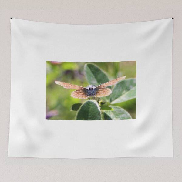 Item preview, Eye to Eye designed and sold by Jo Nijenhuis.