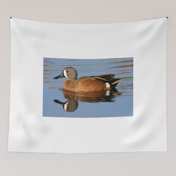 Item preview, Blue winged teal with reflection designed and sold by Anthony Goldman.