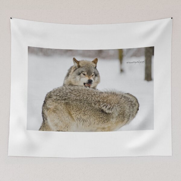 Item preview, No Means No! designed and sold by Yannik Hay.