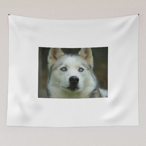 Item preview, Look Into My Baby Blues!!! - Siberian Husky - NZ designed and sold by AndreaEL.
