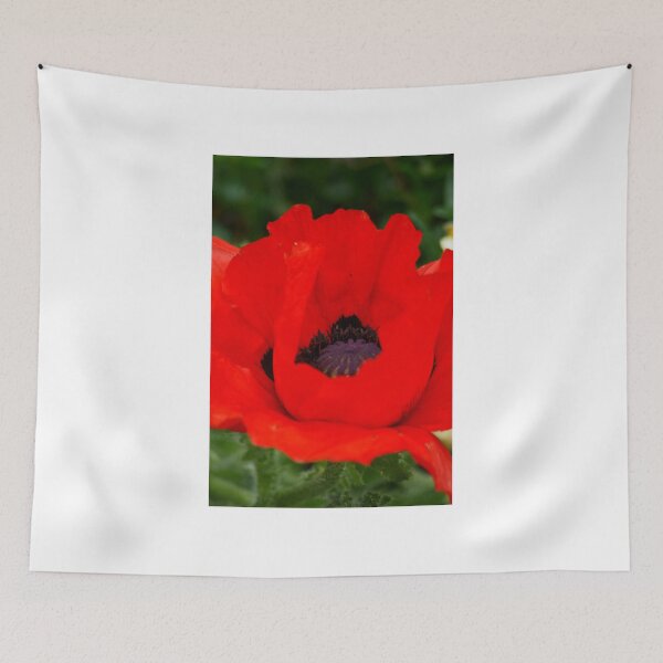 Item preview, Red Poppy designed and sold by Andy Beattie.