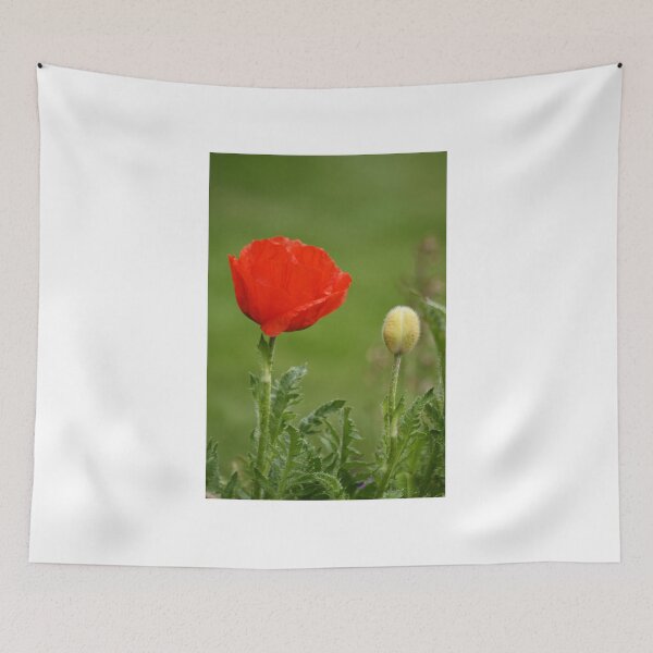 Item preview, Red Poppy designed and sold by Andy Beattie.