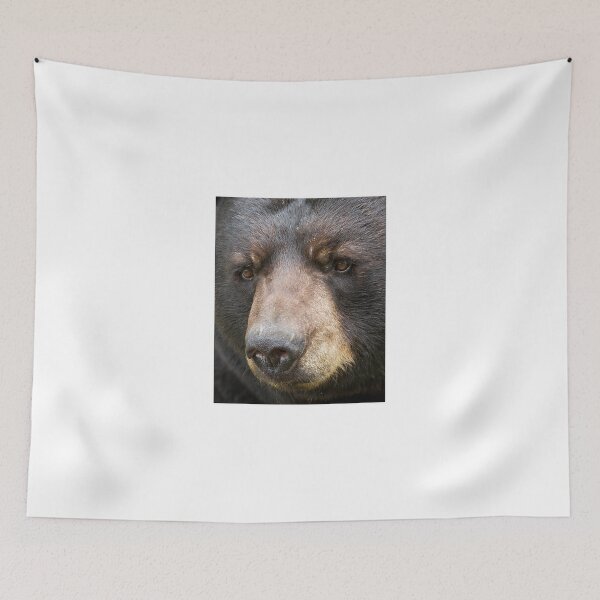 Item preview, Bear Closeup designed and sold by James Cumming.