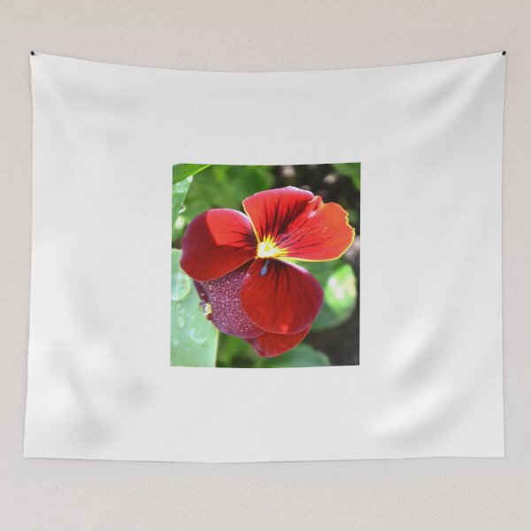 Item preview, Sparkling Pansy designed and sold by lynn carter.