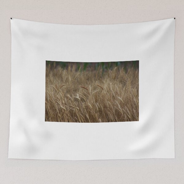 Aperçu de l'œuvre Country Kansas Wheat Field créée et vendue par ROBERTDBROZEK.