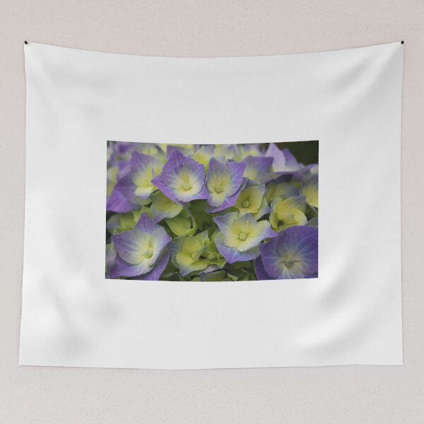 Item preview, Blue Hydrangea Macrophylla designed and sold by Jo Nijenhuis.