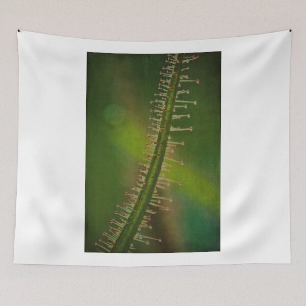 Item preview, Sundew designed and sold by Denise Abé.