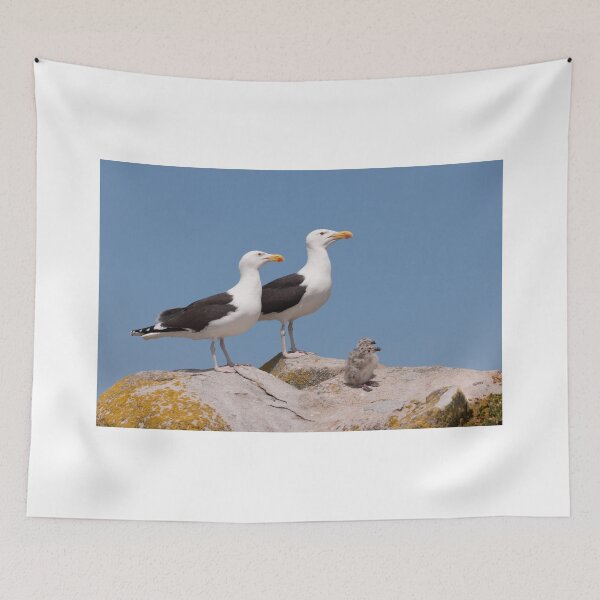Item preview, The Family Stands Proudly, Saltee Island, County Wexford, Ireland designed and sold by AndrewJonesFoto.