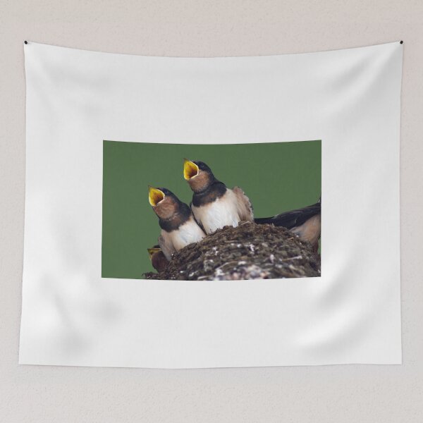 Item preview, Baby Swallows designed and sold by Susan  Watkins.
