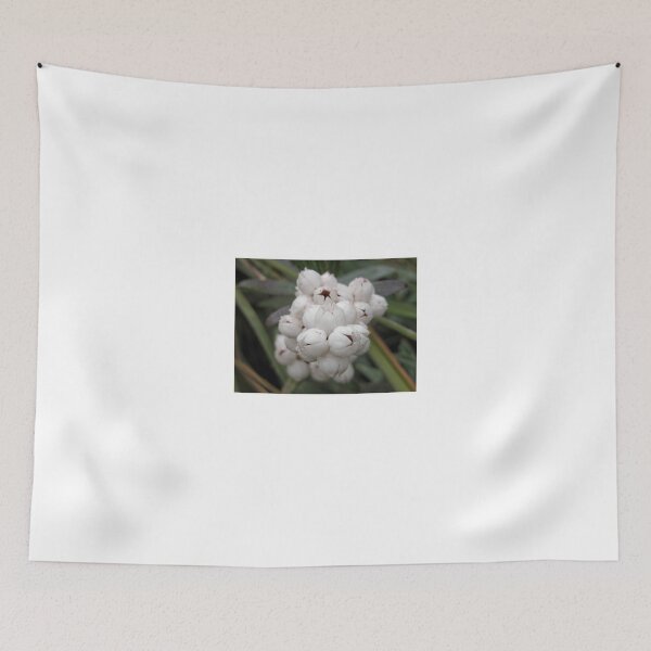 Item preview, Snowberries, Cradle Mountain, Tasmania, Australia. designed and sold by kaysharp.