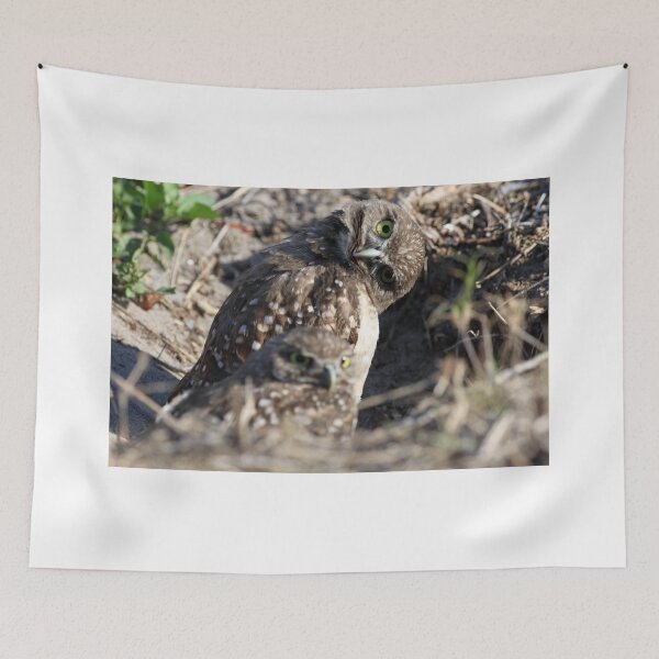 Item preview, whatcha doin designed and sold by kathy s gillentine.