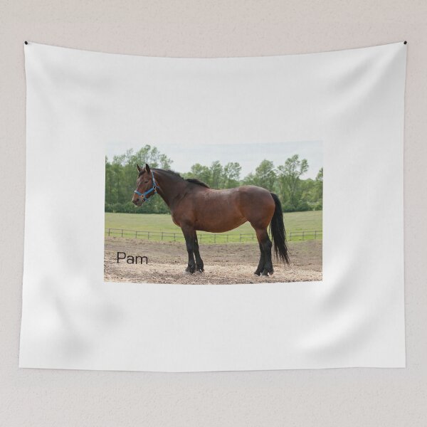 Item preview, Pam - Nepean Equestrian Park designed and sold by Tracey  Dryka.