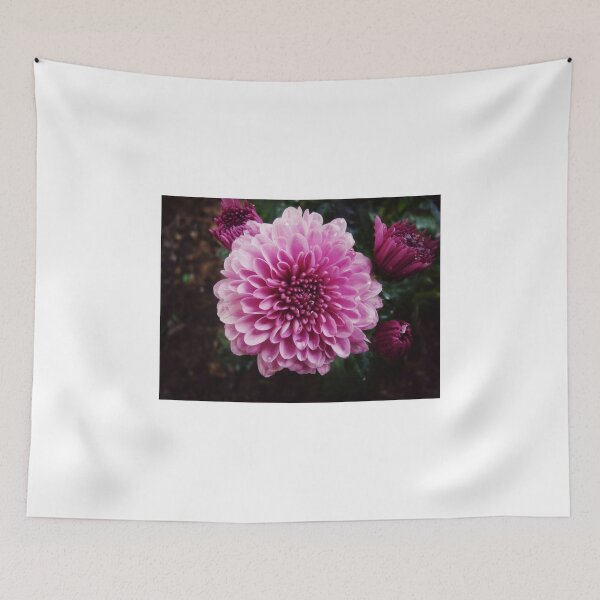 Item preview, Purple Mums designed and sold by Frankie Cat Photography.