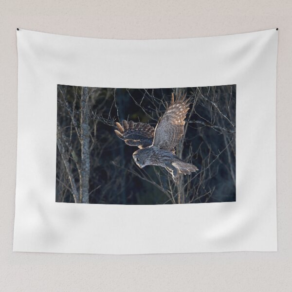 Item preview, Great Grey Owl designed and sold by James Cumming.
