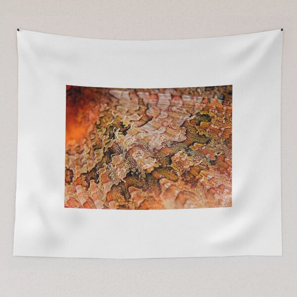 Item preview, Reef Art - Scorpionfish Fin designed and sold by Henry Jager.