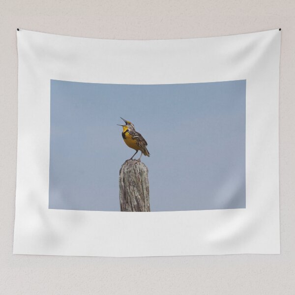 Item preview, Eastern Meadowlark  designed and sold by kathy s gillentine.