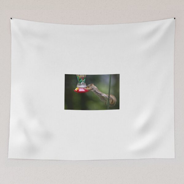 Item preview, Feet don't fail me now! Red Squirrel designed and sold by James Cumming.