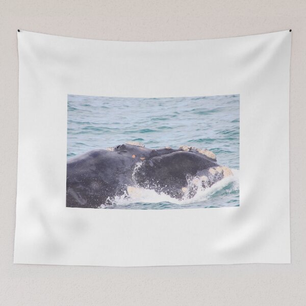 Item preview, Victor Harbor Southern Right Whales Pt.8 designed and sold by Stuart Daddow Photography.
