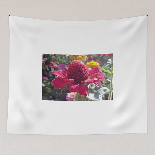 Aperçu de l'œuvre Red Cone Flower créée et vendue par Robert Meyers-Lussier.