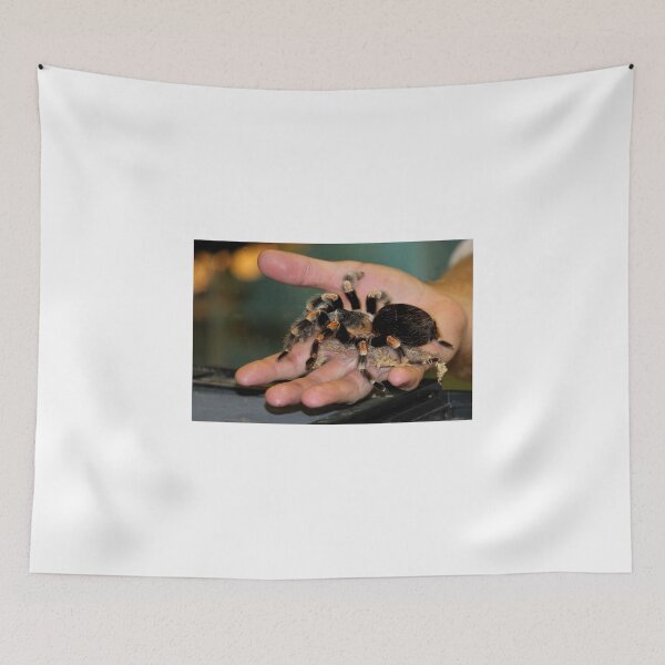 Item preview, Tarantula Yikes designed and sold by Larry Trupp.