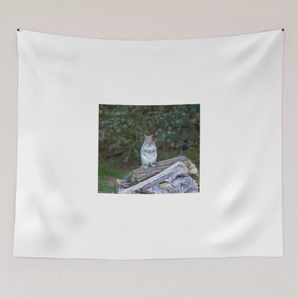 Item preview, Grey Squirrel upright designed and sold by Sue Robinson.