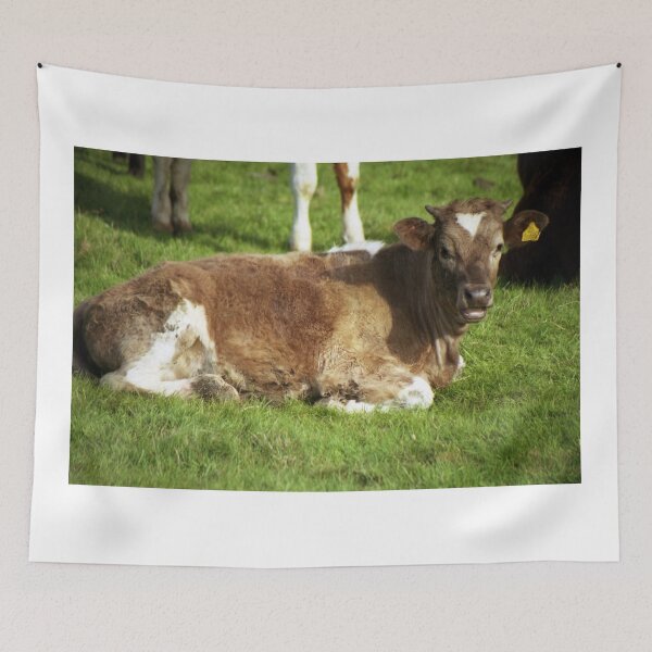 Item preview, A calf of Llanfairfechan. designed and sold by Michael Haslam.