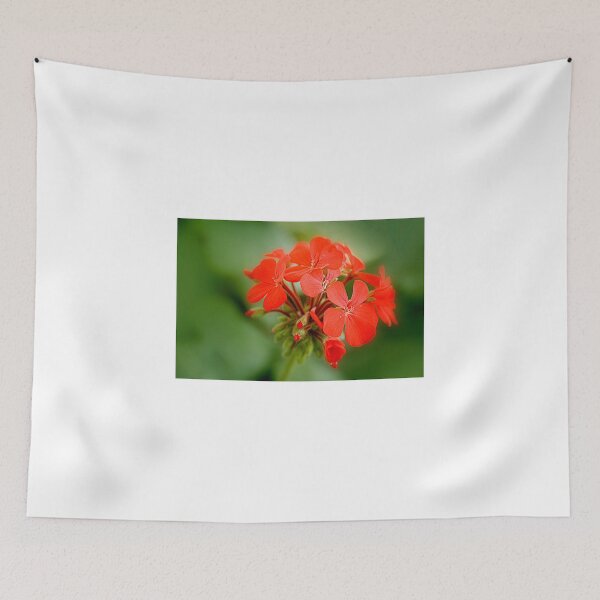 Item preview, the red bunch designed and sold by lensbaby.