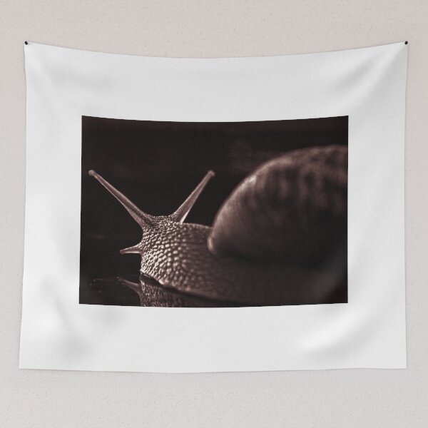 Item preview, snail monochrome designed and sold by stelio.