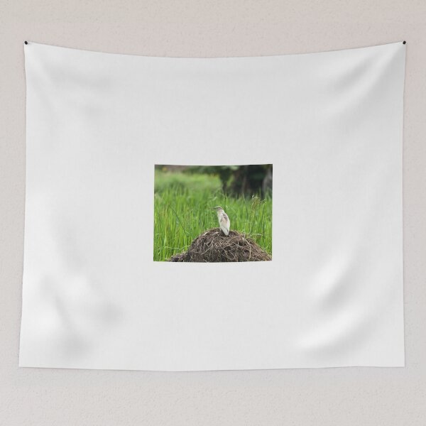 Item preview, Squacco Heron in Rice Field designed and sold by Sue Robinson.