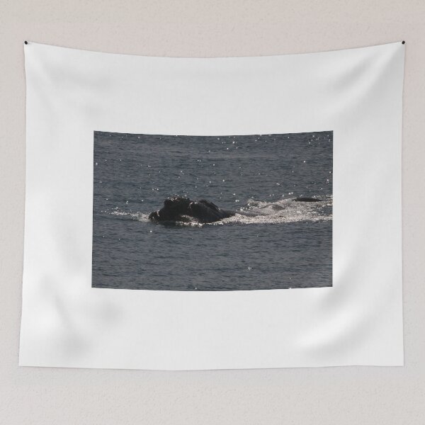 Item preview, Victor Harbor Southern Right Whales Pt.4 designed and sold by Stuart Daddow Photography.