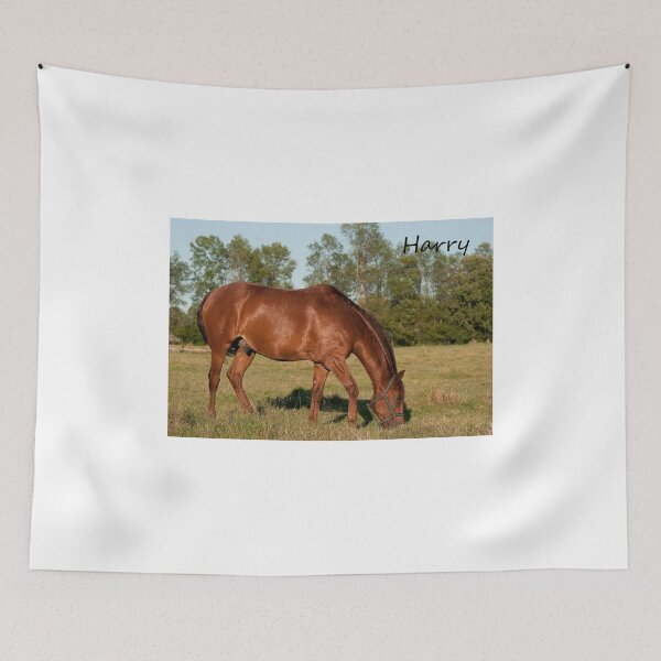 Item preview, Harry - NNEP Ottawa, ON designed and sold by Tracey  Dryka.