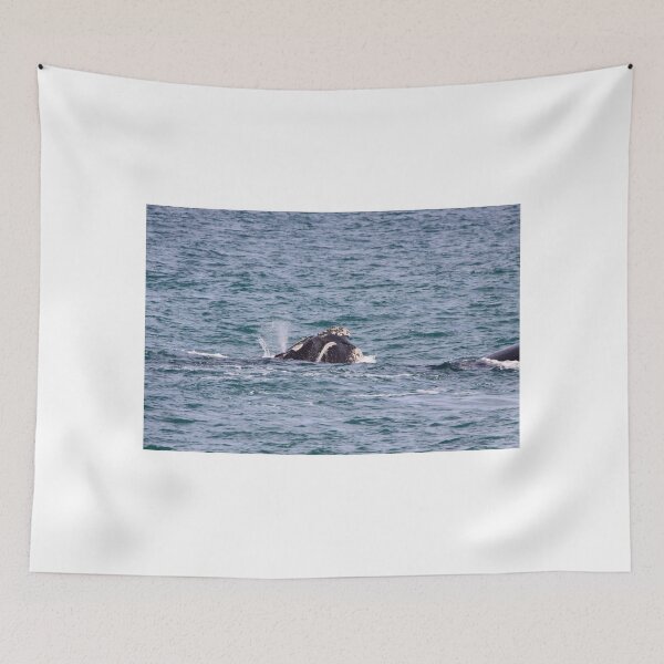 Item preview, Victor Harbor Southern Right Whales Pt.10 designed and sold by Stuart Daddow Photography.