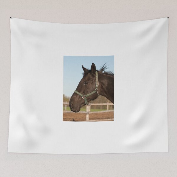 Item preview, Meg designed and sold by Tracey  Dryka.