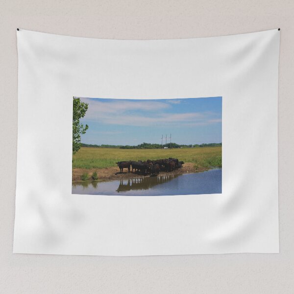 Item preview, Angus Cow's at the Watering Hole designed and sold by ROBERTDBROZEK.