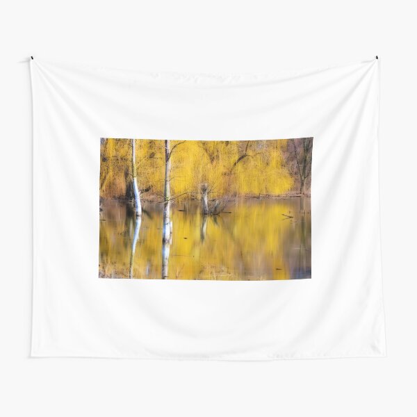 Tapestry