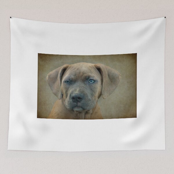 Item preview, Go Ahead.....Make My Day designed and sold by TeresaB.